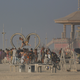 Burning Man: “Firmness, commodity, and delight”